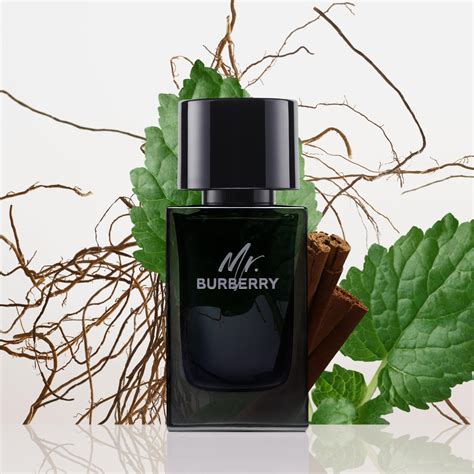 mr burberry eau de parfum fragrantica